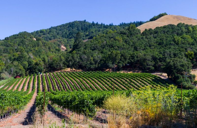 Best Bathroom Remodeling pros in Seattle, WA